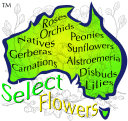 SELECT FLOWERS